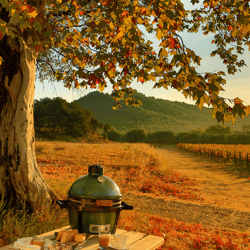 MiniMax Big Green Egg